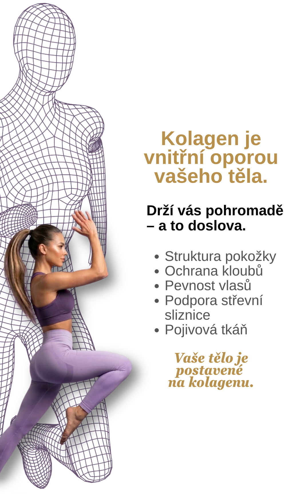 Kolagen jako vnitřní opora těla