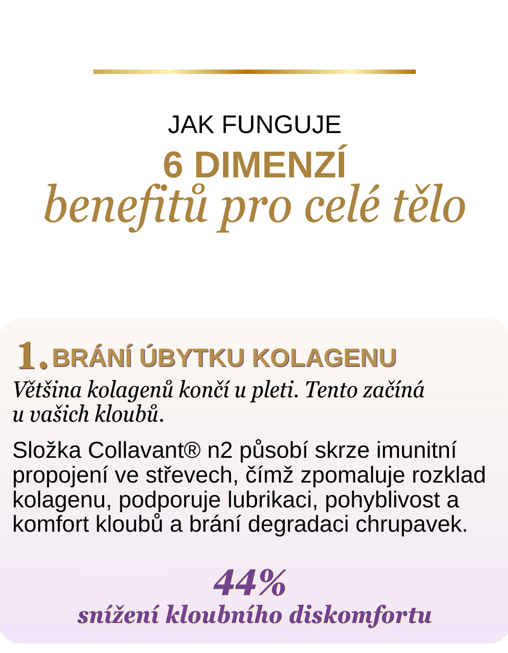 Jak funguje šest dimenzí benefitů: bránění úbytku kolagenu